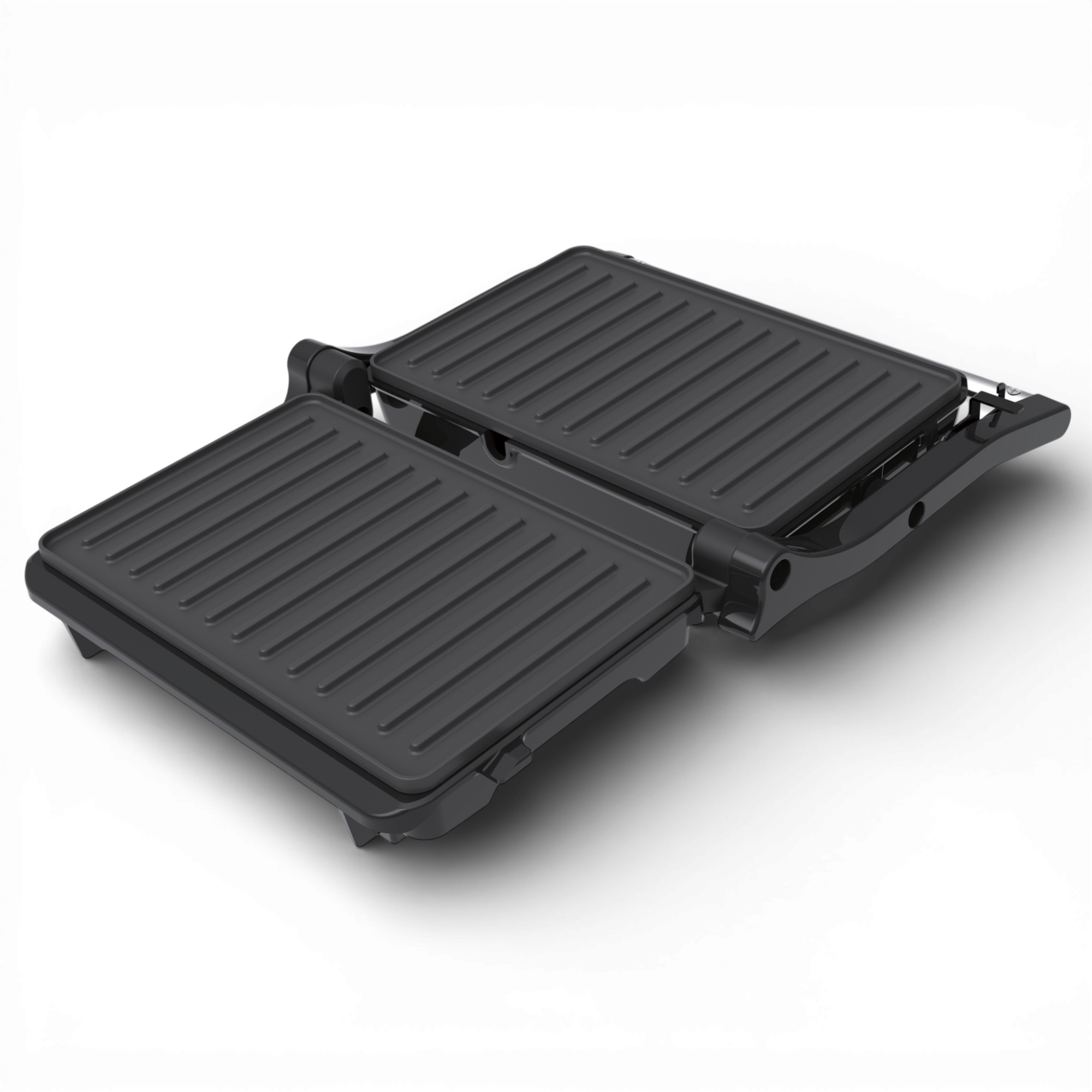 Panini Press